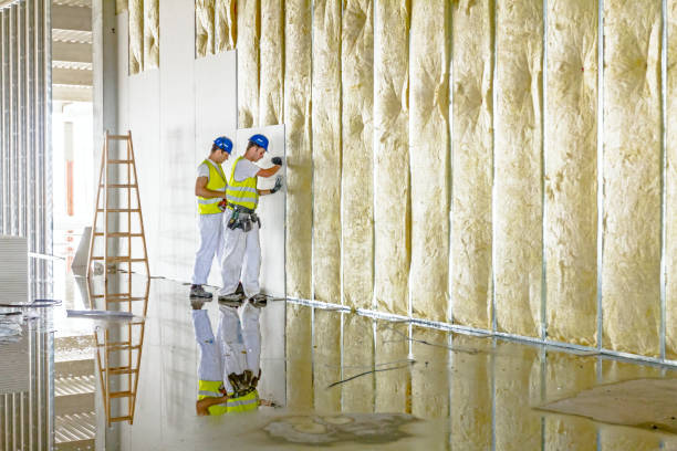 Best Residential Insulation in Whitewater, KS